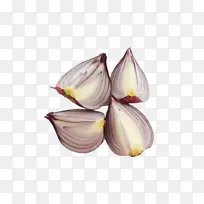 花瓣 植物 芽-空若网 花瓣 植物 芽-空若网