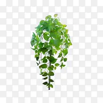 水彩画 颜料 湿墨-空若网 水彩画 颜料 湿墨-空若网