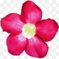 水彩画 颜料 湿墨-空若网 水彩画 颜料 湿墨-空若网