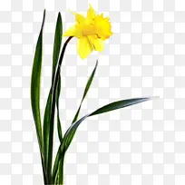 水彩 颜料 湿墨-空若网 水彩 颜料 湿墨-空若网