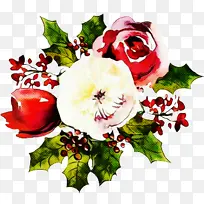 ����ֲ�� �� ��ɫ-������