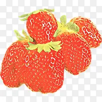 ��ͨ ��ݮ ˮ��-������