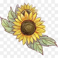 ˮ�ʻ� ���� ʪī-������