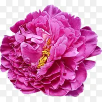 ˮ�� ���� ʪī-������