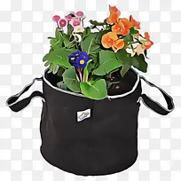 �ɹ���Ʒ�� ���� ֲ��-������