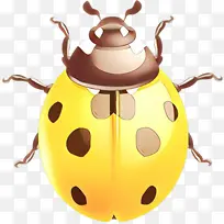 卡通 昆虫 黄色-空若网 卡通 昆虫 黄色-空若网