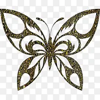 蝴蝶 飞蛾和蝴蝶 对称性-空若网 蝴蝶 飞蛾和蝴蝶 对称性-空若网