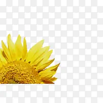 水彩画 颜料 湿墨-空若网 水彩画 颜料 湿墨-空若网