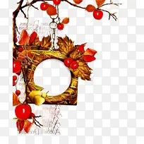 树枝 树 植物-空若网 树枝 树 植物-空若网