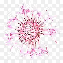 卡通 粉色 花-空若网 卡通 粉色 花-空若网