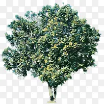 �������� ���� ����ֲ��-������