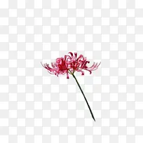 水彩 颜料 湿墨-空若网 水彩 颜料 湿墨-空若网