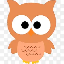 猫头鹰 橙色 鸟-空若网 猫头鹰 橙色 鸟-空若网