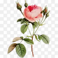 ˮ�� ���� ʪī-������