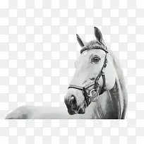 Ë®²Ê» ÓÍÆá ʪīˮ-¿ÕÈôÍø Ë®²Ê» ÓÍÆá ʪīˮ-¿ÕÈôÍø