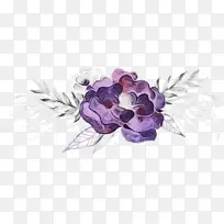 Ë®²Ê» ÑÕÁÏ ÊªÄ«-¿ÕÈôÍø Ë®²Ê» ÑÕÁÏ ÊªÄ«-¿ÕÈôÍø