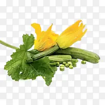 ˮ�� ���� ʪī-������