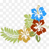 夏威夷木槿 木槿 花-空若网 夏威夷木槿 木槿 花-空若网