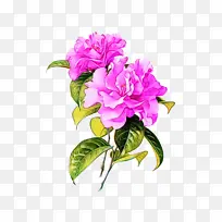 水彩 颜料 湿墨-空若网 水彩 颜料 湿墨-空若网