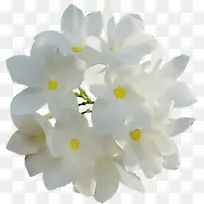 水彩 油漆 湿墨-空若网 水彩 油漆 湿墨-空若网