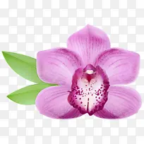 水彩画 颜料 湿墨-空若网 水彩画 颜料 湿墨-空若网