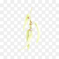 卡通 植物 花卉-空若网 卡通 植物 花卉-空若网