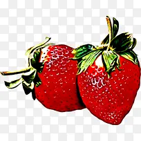 ��ݮ ��ȻʳƷ ˮ��-������