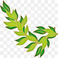 叶 植物 花-空若网 叶 植物 花-空若网