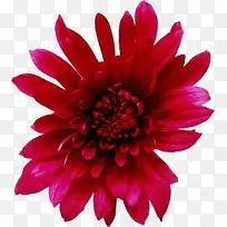 水彩画 颜料 湿墨-空若网 水彩画 颜料 湿墨-空若网