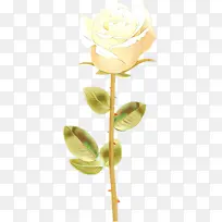 卡通 黄色 花-空若网 卡通 黄色 花-空若网