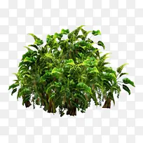 ˮ�� ���� ʪī-������