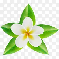 水彩画 颜料 湿墨-空若网 水彩画 颜料 湿墨-空若网