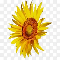 Ë®²Ê» ÑÕÁÏ ÊªÄ«-¿ÕÈôÍø Ë®²Ê» ÑÕÁÏ ÊªÄ«-¿ÕÈôÍø