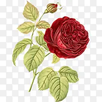 水彩 油漆 湿墨-空若网 水彩 油漆 湿墨-空若网