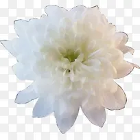 ˮ�� ���� ʪī-������