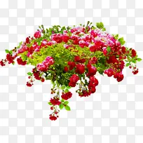 水彩画 油漆 湿墨水-空若网 水彩画 油漆 湿墨水-空若网