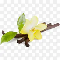 水彩画 颜料 湿墨-空若网 水彩画 颜料 湿墨-空若网