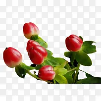 水彩画 颜料 湿墨-空若网 水彩画 颜料 湿墨-空若网