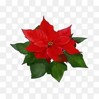 ˮ�� ���� ʪī-������