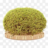 ��ͨ ��ɫ ��-������