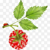 水彩画 颜料 湿墨-空若网 水彩画 颜料 湿墨-空若网