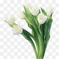 水彩 油漆 湿墨-空若网 水彩 油漆 湿墨-空若网