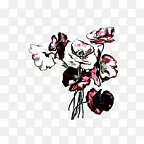 花 粉色 植物-空若网 花 粉色 植物-空若网