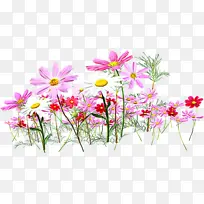 ˮ�� ���� ʪī-������