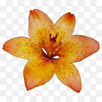 水彩 颜料 湿墨-空若网 水彩 颜料 湿墨-空若网