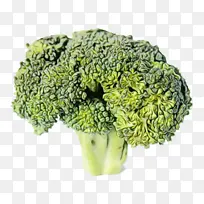 ˮ�� ���� ʪīˮ-������