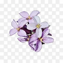 ˮ�� ���� ʪī-������