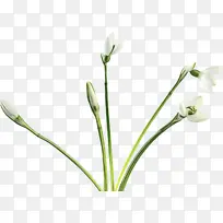 水彩 油漆 湿墨-空若网 水彩 油漆 湿墨-空若网