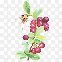 水彩画 油漆 湿墨-空若网 水彩画 油漆 湿墨-空若网