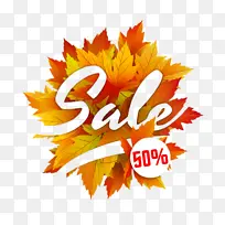 橙色 黄色 叶子-空若网 橙色 黄色 叶子-空若网